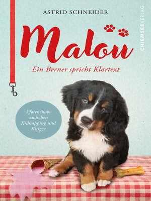 cover image of Malou--ein Berner spricht Klartext